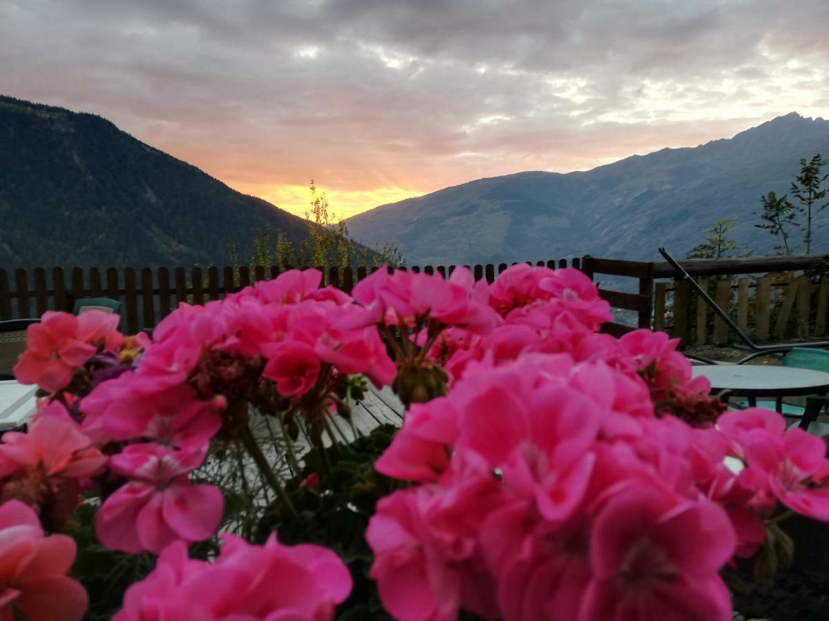 Les Balcons Du Molliebon Daire Séez Dış mekan fotoğraf